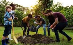 bomen planten