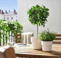 ikea kunstplanten