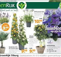 planten aanbieding