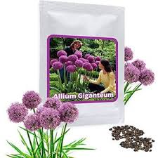 winterharde planten met bloemen