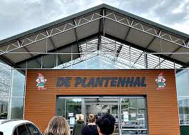 goedkope planten