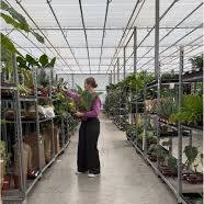 123 plant