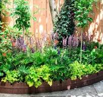 border planten