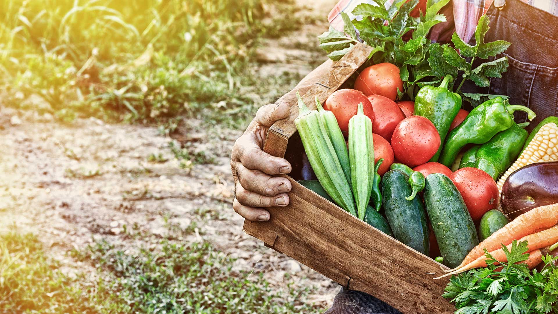duurzame producten eten