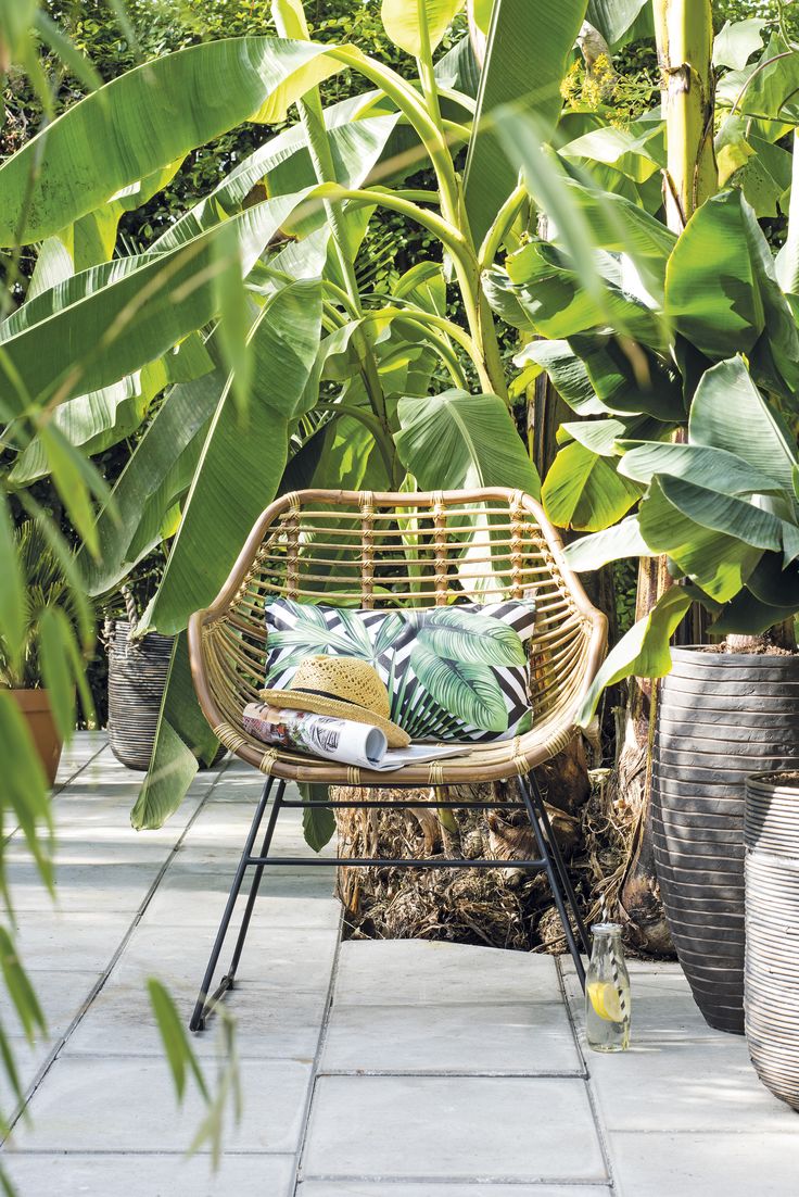 bananenplant intratuin