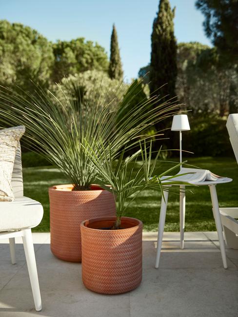 planten in pot buiten