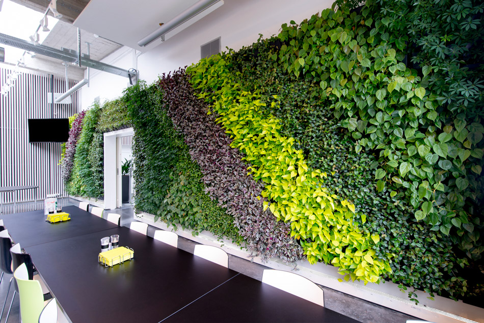 plantenwand buiten