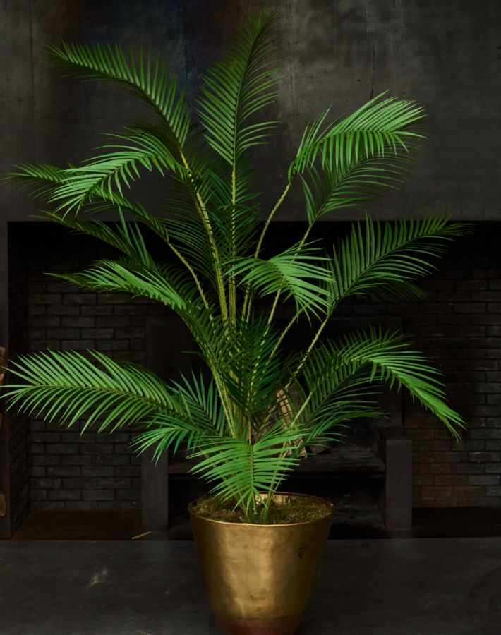 mooie planten