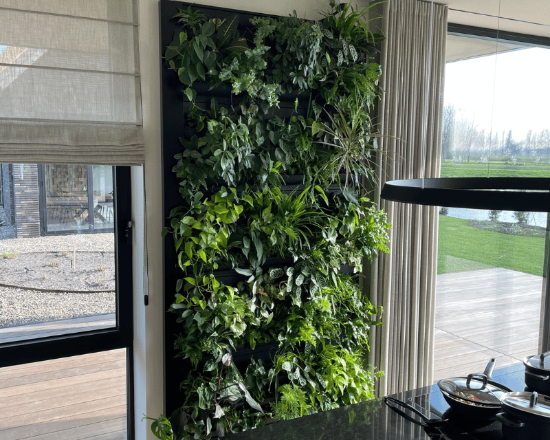 planten muur