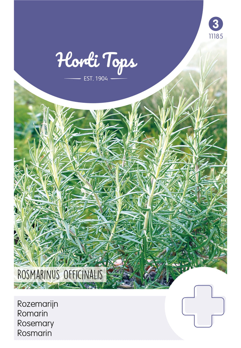 rozemarijn planten