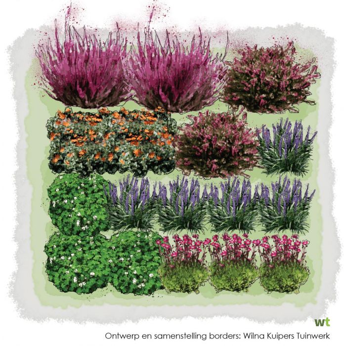 vaste planten border zon