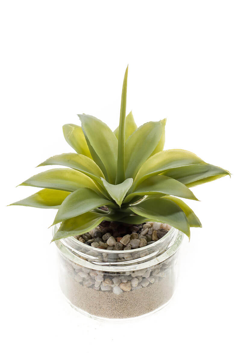 planten in glas