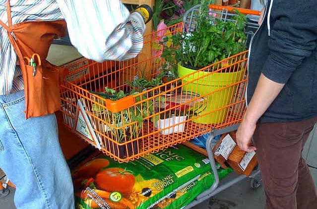 planten bestellen online