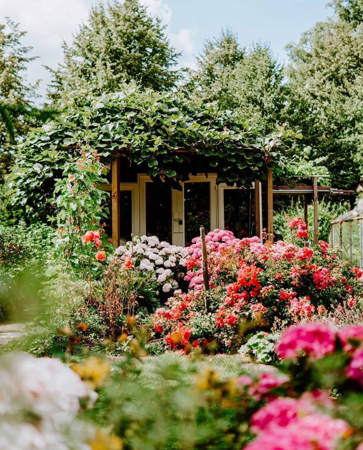 planten in volle zon